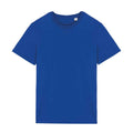 Sea Blue - Front - Native Spirit Unisex Adult T-Shirt