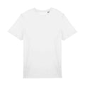White - Front - Native Spirit Unisex Adult T-Shirt
