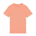 Apricot - Front - Native Spirit Unisex Adult T-Shirt