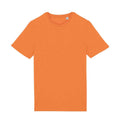 Clementine Heather - Front - Native Spirit Unisex Adult T-Shirt