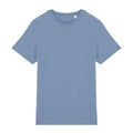 Cool Blue - Front - Native Spirit Unisex Adult T-Shirt