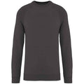 Iron Grey - Front - Native Spirit Unisex Adult Raglan Sweatshirt