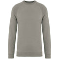 Almond Green - Front - Native Spirit Unisex Adult Raglan Sweatshirt