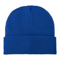 Blue - Back - Bullet Boreas Beanie With Patch