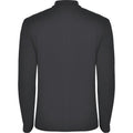 Dark Lead - Back - Roly Mens Estrella Long-Sleeved Polo Shirt