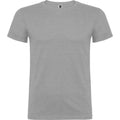 Grey Marl - Front - Roly Childrens-Kids Beagle Short-Sleeved T-Shirt