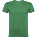 Kelly Green - Front - Roly Childrens-Kids Beagle Short-Sleeved T-Shirt