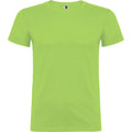 Oasis Green - Front - Roly Childrens-Kids Beagle Short-Sleeved T-Shirt