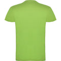 Oasis Green - Back - Roly Childrens-Kids Beagle Short-Sleeved T-Shirt