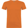 Orange - Front - Roly Childrens-Kids Beagle Short-Sleeved T-Shirt