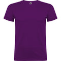 Purple - Front - Roly Childrens-Kids Beagle Short-Sleeved T-Shirt