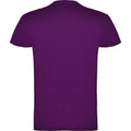Purple - Back - Roly Childrens-Kids Beagle Short-Sleeved T-Shirt