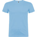Sky Blue - Front - Roly Childrens-Kids Beagle Short-Sleeved T-Shirt