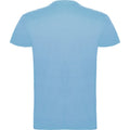 Sky Blue - Back - Roly Childrens-Kids Beagle Short-Sleeved T-Shirt