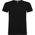 Solid Black - Front - Roly Childrens-Kids Beagle Short-Sleeved T-Shirt