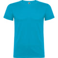 Turquoise - Front - Roly Childrens-Kids Beagle Short-Sleeved T-Shirt