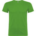 Grass Green - Front - Roly Childrens-Kids Beagle Short-Sleeved T-Shirt