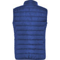 Electric Blue - Back - Roly Womens-Ladies Oslo Insulated Body Warmer