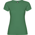 Kelly Green - Front - Roly Womens-Ladies Jamaica Short-Sleeved T-Shirt