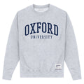 Heather Grey - Front - University Of Oxford Unisex Adult Sweatshirt