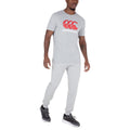 Grey-Red-White - Pack Shot - Canterbury Mens Logo T-Shirt