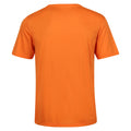Persimmon - Back - Regatta Mens Fingal V T-Shirt