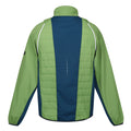 Piquant Green-Moroccan Blue-Citron Lime - Back - Regatta Mens Steren II Softshell Hybrid Jacket