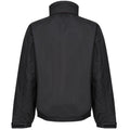 Black-Classic Red - Back - Regatta Dover Waterproof Windproof Jacket (Thermo-Guard Insulation)