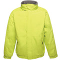 Key Lime-Seal Grey - Front - Regatta Dover Waterproof Windproof Jacket (Thermo-Guard Insulation)