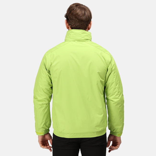 Key Lime-Seal Grey - Back - Regatta Dover Waterproof Windproof Jacket (Thermo-Guard Insulation)