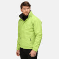 Key Lime-Seal Grey - Side - Regatta Dover Waterproof Windproof Jacket (Thermo-Guard Insulation)