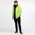 Key Lime-Seal Grey - Lifestyle - Regatta Dover Waterproof Windproof Jacket (Thermo-Guard Insulation)