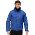 Royal Blue - Lifestyle - Regatta Dover Waterproof Windproof Jacket (Thermo-Guard Insulation)