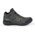 Briar-Lime Punch - Back - Regatta Mens Edgepoint Mid Waterproof Hiking Shoes