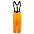 Puffins Orange - Front - Dare 2B Childrens-Kids Outmove II Ski Trousers