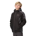 Black-Seal Grey - Side - Regatta Childrens-Kids Hurdle IV Insulated Waterproof Jacket