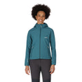 Dragonfly Ink - Back - Regatta Womens-Ladies Ared III Soft Shell Jacket