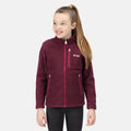 Raspberry Radience - Back - Regatta Childrens-Kids Marlin VII Full Zip Fleece Jacket