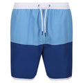 Lake Blue-Royal Blue - Front - Regatta Mens Benicio Swim Shorts
