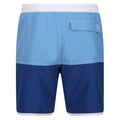 Lake Blue-Royal Blue - Back - Regatta Mens Benicio Swim Shorts
