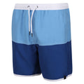 Lake Blue-Royal Blue - Side - Regatta Mens Benicio Swim Shorts