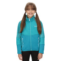 Turquoise - Back - Regatta Childrens-Kids Oberon V Soft Shell Jacket