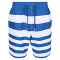 Lapis Blue - Front - Regatta Mens Hamza Striped Swim Shorts