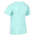 Aruba Blue - Lifestyle - Regatta Childrens-Kids Bosley V Sunset T-Shirt