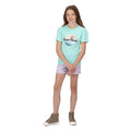 Aruba Blue - Pack Shot - Regatta Childrens-Kids Bosley V Sunset T-Shirt