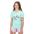 Aruba Blue - Close up - Regatta Childrens-Kids Bosley V Sunset T-Shirt