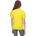 Maize Yellow - Pack Shot - Regatta Childrens-Kids Sunset T-Shirt