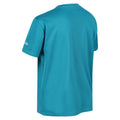 Enamel Blue - Side - Regatta Childrens-Kids Alvarado VI Mountain T-Shirt