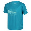 Enamel Blue - Lifestyle - Regatta Childrens-Kids Alvarado VI Mountain T-Shirt