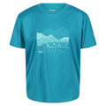 Enamel Blue - Front - Regatta Childrens-Kids Alvarado VI Mountain T-Shirt